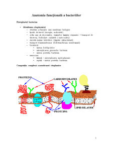 Anatomia funcțională a bacteriilor - curs 2 - Pagina 1