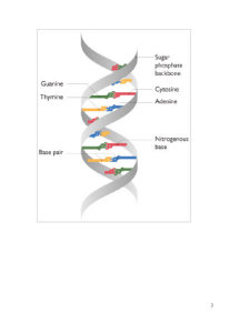 Genetică bacteriană în imagini - curs 3 - Pagina 3
