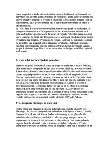 Prezența multinaționalelor pe piața românească - Pagina 3