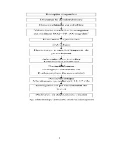 Metoda rapidă HPLC pentru determinarea resveratrolului de vin - Pagina 3