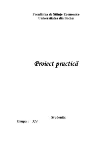 Proiect practică - SC Domo Retail SA - Pagina 1
