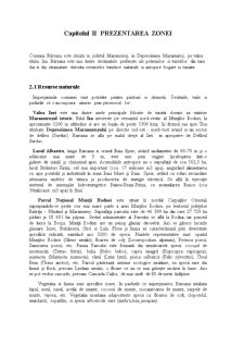 Strategia de dezvoltare durabilă a Comunei Bârsana - Pagina 3