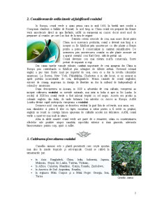 Autentificarea și Expertizarea Ceaiului - Pagina 4