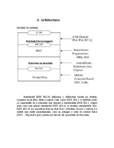 IEEE 802.16 - Pagina 3