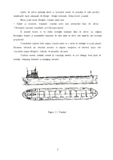 Studiul teoretic al excitațiilor induse de propulsoare la nave - Pagina 4