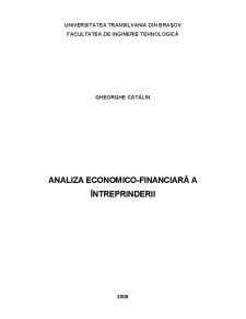Analiza economică financiară - Pagina 1