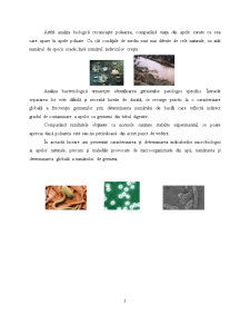 Analiza Bacteorologica - Pagina 2