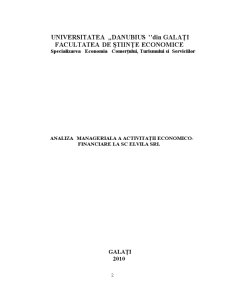 Analiza Manageriala a Activitații economico-financiare la SC Elvila SRL - Pagina 2