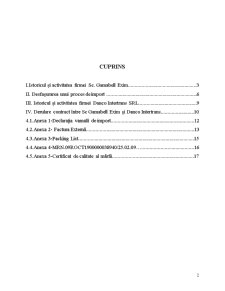 Transportul internațional de mărfuri - studiu de caz - Pagina 2