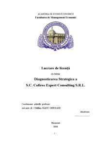 Diagnosticarea strategică a SC Cofires Expert Consulting SRL - Pagina 1