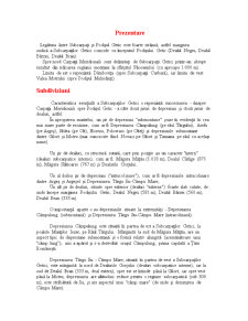 Subcarpații Getici - Pagina 2
