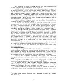 Reproducerea neautorizată a programelor de calculator - forme și modalități în Administrația Publică - Pagina 5