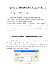 Proiect Software Statistic - Pagina 4