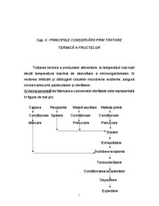 Echipamentele și Tehnologia Fabricării Produselor Conservate prin Tratament Termic - Compoturile - Pagina 5