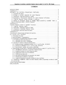 Organizarea și Exercitarea Controlului Financiar Intern în Cadrul SC Lacta SRL - Pagina 3