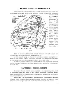 Geografie umană generală - monografia Brăilei - Pagina 3
