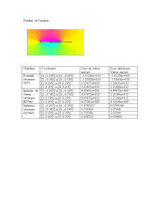 Analiza câmpurilor electromagnetice - Pagina 2
