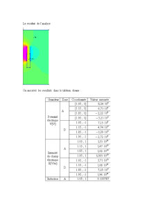 Analiza câmpurilor electromagnetice - Pagina 4