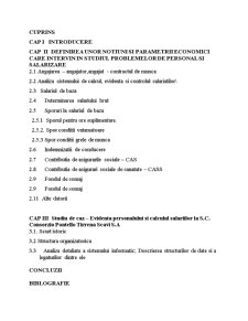 Sistem informatic pentru evidența personalului și calculul salariilor la SC Consorzio Pontello Tirrena Scavi SA - Pagina 1