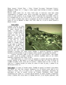 Așezările rurale din România - Pagina 4