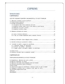 Planificarea activității de audit financiar - Pagina 3