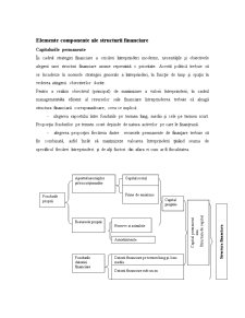 Structura Financiară a Întreprinderii - Pagina 3
