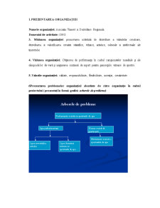 Structura unei afaceri cu potențial de atragere a unei finanțări europene - Baza Sportivă Lunca - Pagina 2