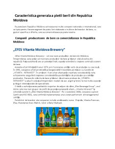 Analiza pietii berii în Republica Moldova - Pagina 4