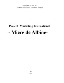 Proiect marketing internațional - miere de albine - Pagina 1