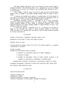 Plan de afaceri - Ciupercărie Champignon - Pagina 3