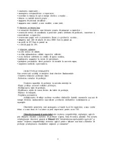 Plan de afaceri - Ciupercărie Champignon - Pagina 4
