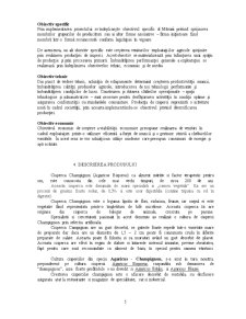 Plan de afaceri - Ciupercărie Champignon - Pagina 5