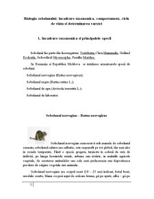 Biologia șobolanului - Pagina 1
