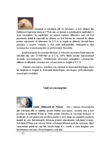 Biologia șobolanului - Pagina 4