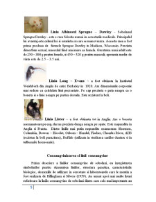Biologia șobolanului - Pagina 5