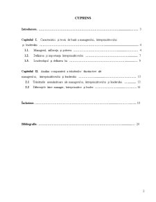 Proiect economic - teoria de bază a managementului - Pagina 1