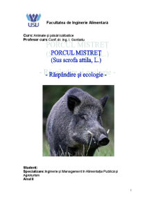 Porcul mistreț - răspândire și ecologie - Pagina 1