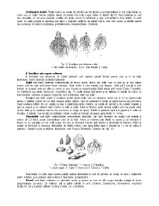 Laboratoare horticultură - Pagina 4
