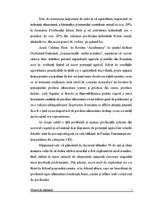 Caracterizarea organizației SC Mes SA Slatina - Pagina 3