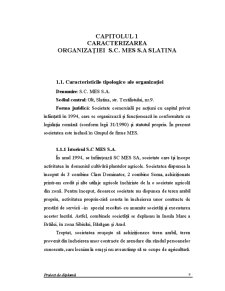 Caracterizarea organizației SC Mes SA Slatina - Pagina 5