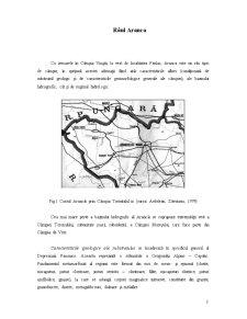 Râul Aranca - Pagina 1