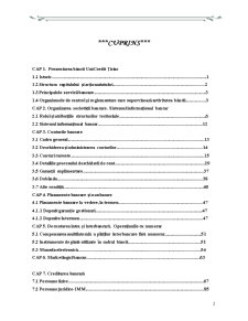 Monografie Țiriac Bank - economie bancară - Pagina 2
