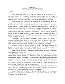 Monografie Țiriac Bank - economie bancară - Pagina 4