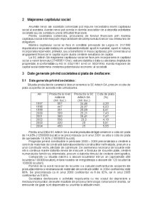 Analiza financiară la SC Artech SA - Pagina 3
