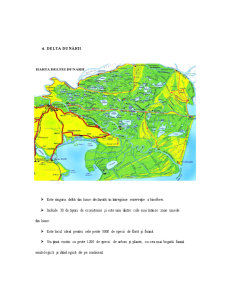 Potențialul Ecoturistic al Deltei Dunării - Pagina 4