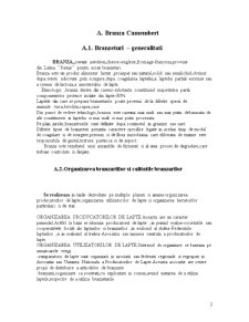 Biotehnologii Vegetale si Animale - Branza Camembert si Salamul Dambovicioara - Pagina 3