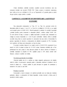 Plan de afaceri - SC La Tata SA - Pagina 3