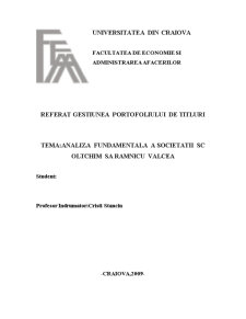 Analiza fundamentală a societății SC Oltchim SA Râmnicu Vâlcea - Pagina 1