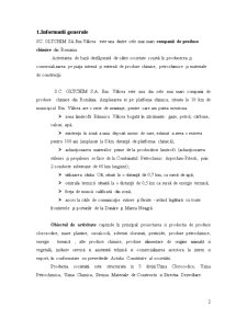 Analiza fundamentală a societății SC Oltchim SA Râmnicu Vâlcea - Pagina 2