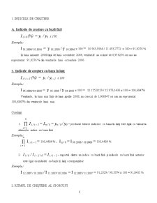 Calculul Indicatorilor - Pagina 5